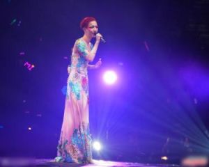 鄭秀文演唱會 鄭秀文演唱會