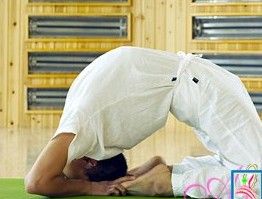 全駱駝式 全駱駝式