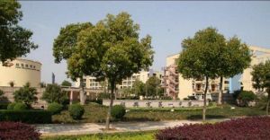 紹興一中 紹興一中