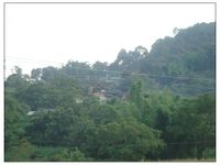 雲頭自然村 雲頭自然村