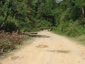 （圖）進村道路