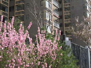 逸翠園西安 逸翠園西安