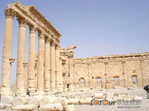 （圖）敘利亞沙漠