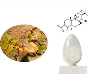 雷公藤甲素 雷公藤甲素