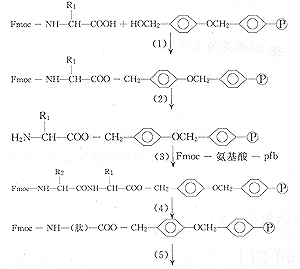 （圖）Fmoc合成法中的固相載體