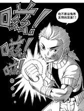 萊斯特。霍普斯