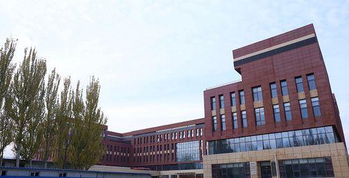 青海大學藏醫學院