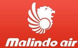 馬印航空公司 馬印航空公司