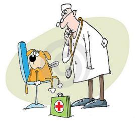 動物醫生 動物醫生
