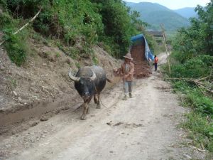 老封寨自然村 老封寨自然村