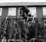 （圖）馬六甲誘惑