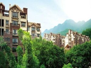 高家坡社區 高家坡社區