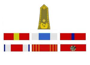 米倫蒂耶&middot;波波維奇的榮譽