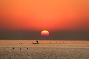 冉冉升起 冉冉升起