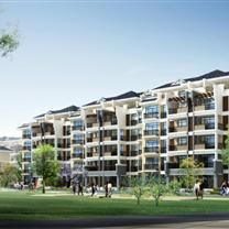 南庭花園 南庭花園