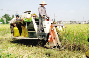 （圖）火龍崗鎮