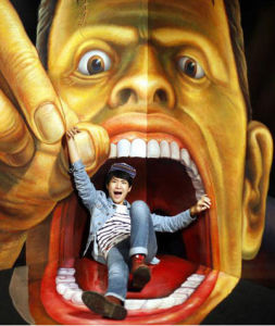 機能性幻覺 機能性幻覺