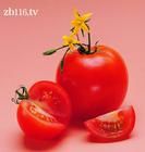 西紅柿美容