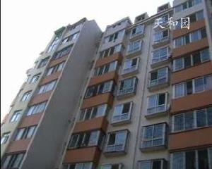 天和園秋園 天和園秋園