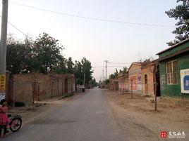 辛莊村[山西省翼城縣中衛鄉下轄村]