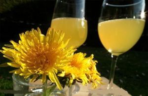 蒲公英酒 蒲公英酒
