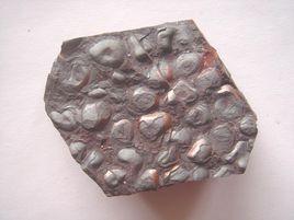 礦石構造 礦石構造