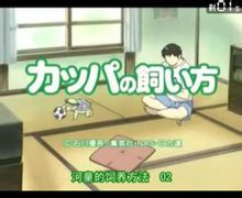 河童的飼養方法 河童的飼養方法