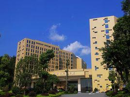 十堰世紀百強武當雅閣國際大酒店 十堰世紀百強武當雅閣國際大酒店