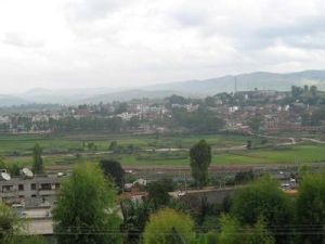 甸中自然村 甸中自然村