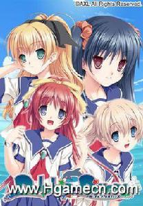 Dolphin Divers Dolphin Divers