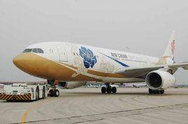 紫宸號飛機 紫宸號飛機