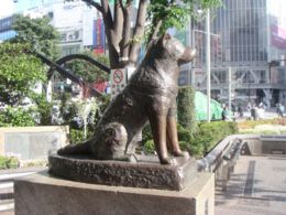 （圖）澀谷站外的忠犬八公像