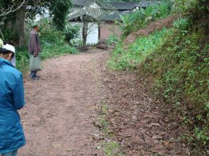 回龍自然村 回龍自然村