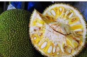 波羅蜜核中仁 波羅蜜核中仁