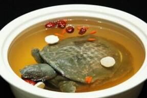 枸杞子燉鱉 枸杞子燉鱉