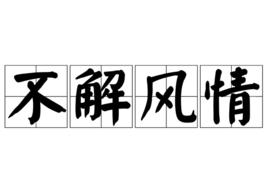 不解風情[詞語]