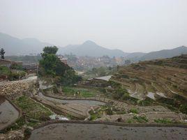 梅莊[江西省南昌市進賢縣下轄鎮]