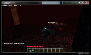 多人遊戲中的下界截圖