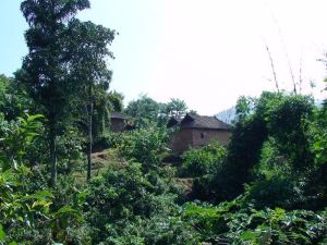 吉良二組村 吉良二組村