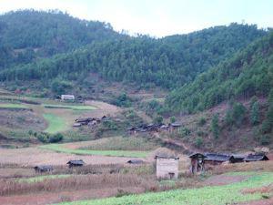 海坪村[貴州省威寧縣岔河鄉下下村]