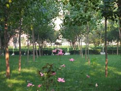 保定科技職業學院