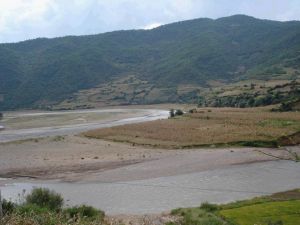 松樹自然村 松樹自然村