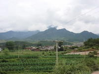 梅樹坪村 梅樹坪村