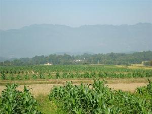 汪家營村－村莊全貌