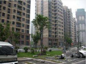 麗灣國際 麗灣國際