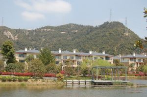 新龍岙村 新龍岙村