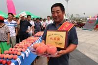 蒙陰縣舉辦的賽桃會