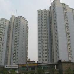 柳浪新苑 柳浪新苑