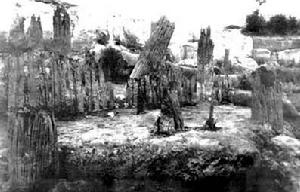 毛家嘴乾闌遺址 毛家嘴乾闌遺址