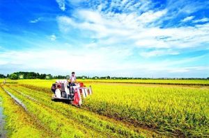 農業增加值 農業增加值